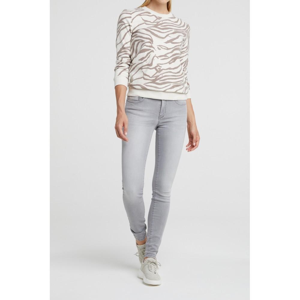 Cotton Blend Sweatshirt With Animal Print Seagull Grey Dessin - BouChic 
