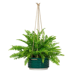 Orla Kiely Ceramic Hanging Plant Pot 60s Stem Evergreen - BouChic 