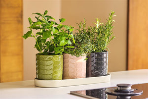 Orla Kiely Set of 3 Ceramic Herb Pots On Ceramic Tray - BouChic 